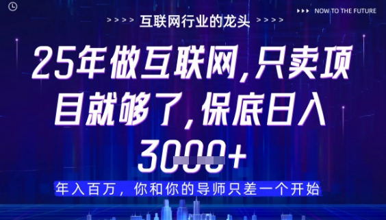 什么！25年你还在找项目做？风口早就变了，卖项目才是稳挣不赔【揭秘】-8U创业网
