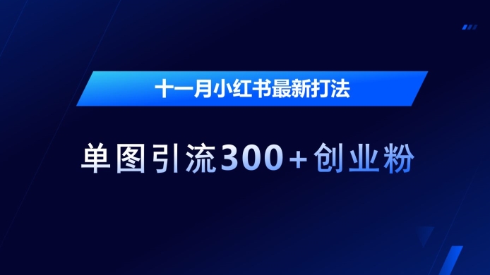 十一月小红书最新打法，单图引流300+创业粉【揭秘】-8U创业网