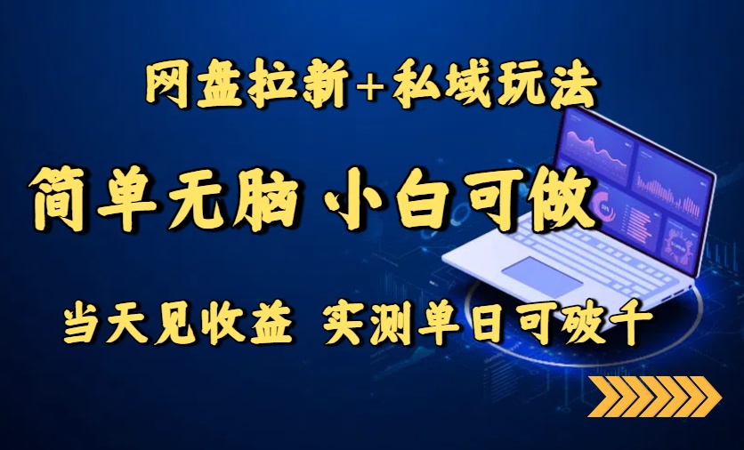 网盘拉新+私域玩法，简单无脑，小白可做，当天见收益，实测单日可破千-8U创业网