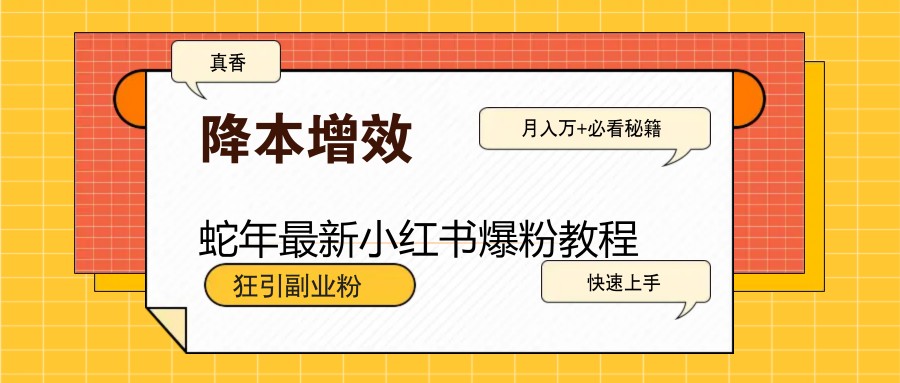 蛇年最新小红书爆粉教程，狂引副业粉，月入万+必看-8U创业网