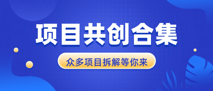 项目共创合集，从0-1全过程拆解，让你迅速找到适合自已的项目-8U创业网