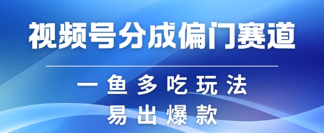 视频号创作者分成计划偏门类目，容易爆流，实拍内容简单易做【揭秘】-8U创业网