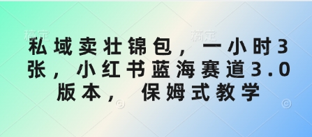 私域卖壮锦包，一小时3张，小红书蓝海赛道3.0版本， 保姆式教学-8U创业网