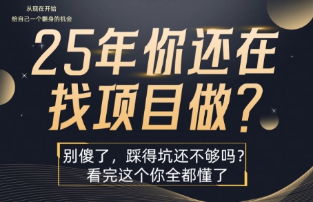 25年，你还在疯狂的找项目吗？别傻了，看完这个你都懂了【揭秘】-8U创业网