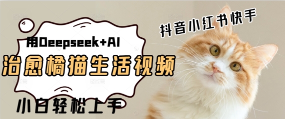 疯狂火爆，用Deepseek+AI做治愈橘猫系列视频，小白轻松制作+快速拿到结果-8U创业网