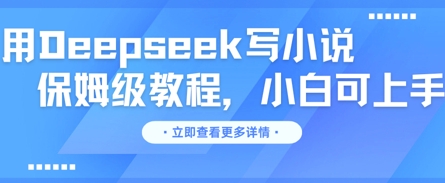 用Deepseek写小说，保姆级教程，小白可实操-8U创业网
