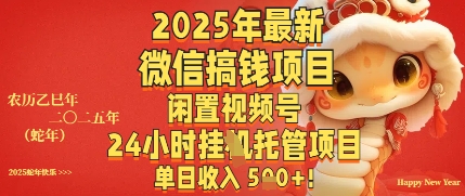 2025年最新微信搞钱项目，闲置视频号年24小时挂G托管项目，单日收入多张-8U创业网