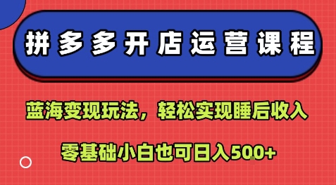 拼多多开店运营课程：蓝海变现玩法，轻松实现睡后收入，零基础小白也可日入5张-8U创业网