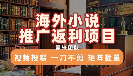 海外小说推广返利项目，视频投喂， 一刀不剪，矩阵批量-8U创业网