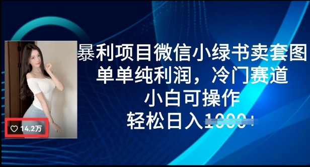 暴利项目微信小绿书卖套图，单单纯利润，冷门赛道， 小白可操作，轻松日入多张-8U创业网