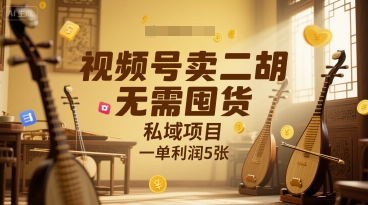 视频号卖二胡，无需囤货，私域项目，一单利润5张-8U创业网