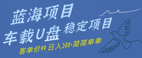 蓝海项目车载U盘稳定项目，挣的就是信息差，客单价99，日入几张简简单单-8U创业网