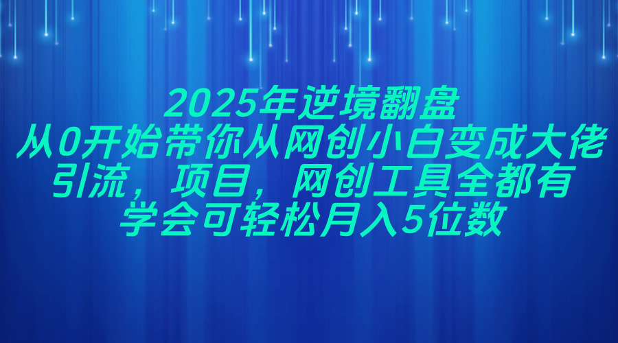 （14473期）2025年逆境翻盘，从0开始带你从网创小白变成大佬，引流，项目，网创工…-8U创业网