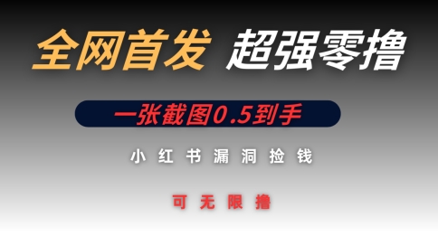 全网首发无限零撸捡钱项目，小红书一张截图0.5元可无限零撸-8U创业网