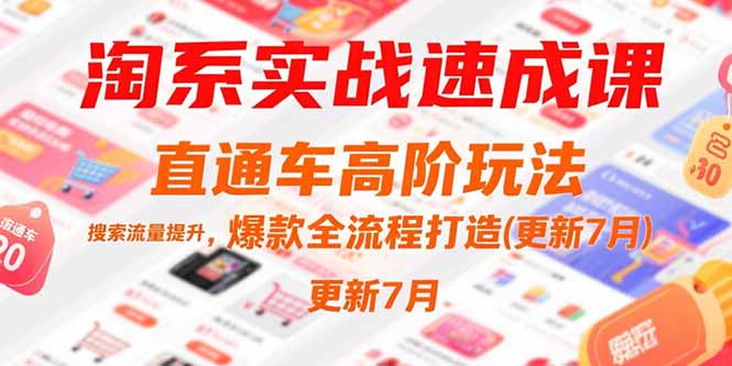 （15374期）淘系实战速成课，直通车高阶玩法，搜索流量提升，爆款全流程打造(更新7月)-8U创业网