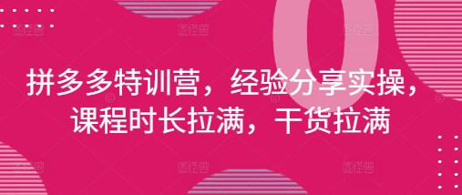 拼多多特训营，经验分享实操，课程时长拉满，干货拉满(更新25年4月)-8U创业网