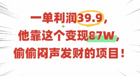 一单利润39.9，有人靠这个变现几十个，偷偷闷声发财的项目-8U创业网