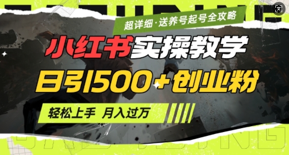 2月小红书最新日引500+创业粉实操教学【超详细】小白轻松上手，月入1W+，附小红书养号起号SOP-8U创业网