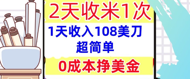 0成本挣美金，超简单，1天收入108刀，2天收米一次，实战教程，首次公开-8U创业网