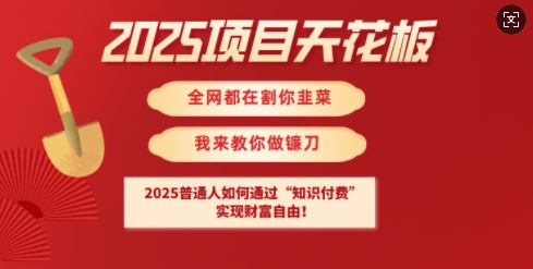 2025项目天花板普通人如何通过知识付费，实现财F自由【揭秘】-8U创业网
